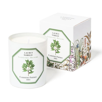 Carriere Freres - Bay Laurel (Laurus Nobilis) Candle