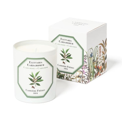 Carriere Freres - Cardamom (Elettaria Cardamomum) Candle