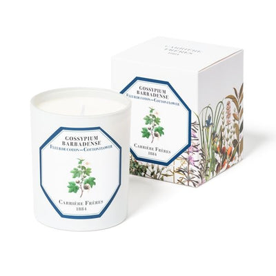 Carriere Freres - Cotton Flower (Gossypium Barbadense) Candle