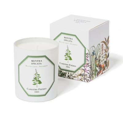 Carriere Freres - Spearmint (Mentha Spicata) Candle