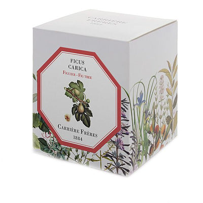 Carriere Freres - Fig Tree (Ficus Carica) Candle