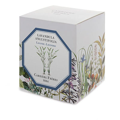 Carriere Freres - Lavender (Lavandula Angustifolia) Candle