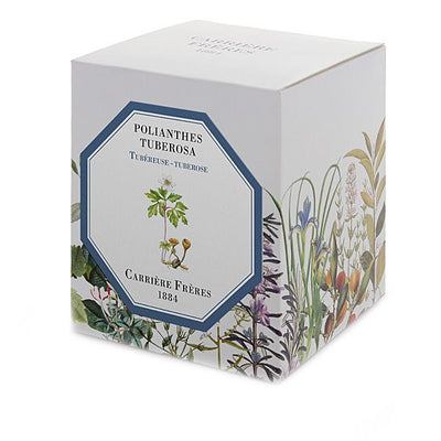 Carriere Freres - Tuberose (Polianthes Tuberosa) Candle