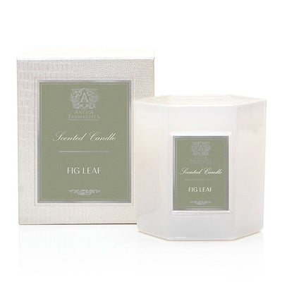 Antica Farmacista - Fig Leaf Candle