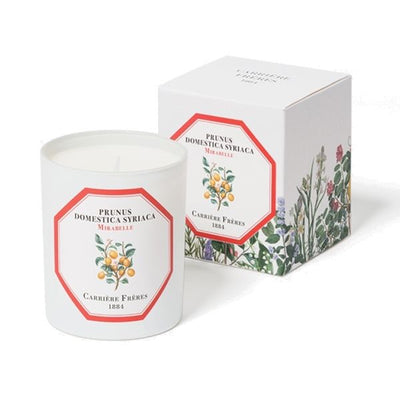 Carriere Freres - Mirabelle (Prunus Domestica Syrica) Candle