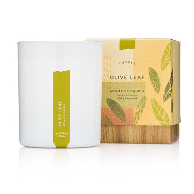 Thymes - Olive Leaf Candle